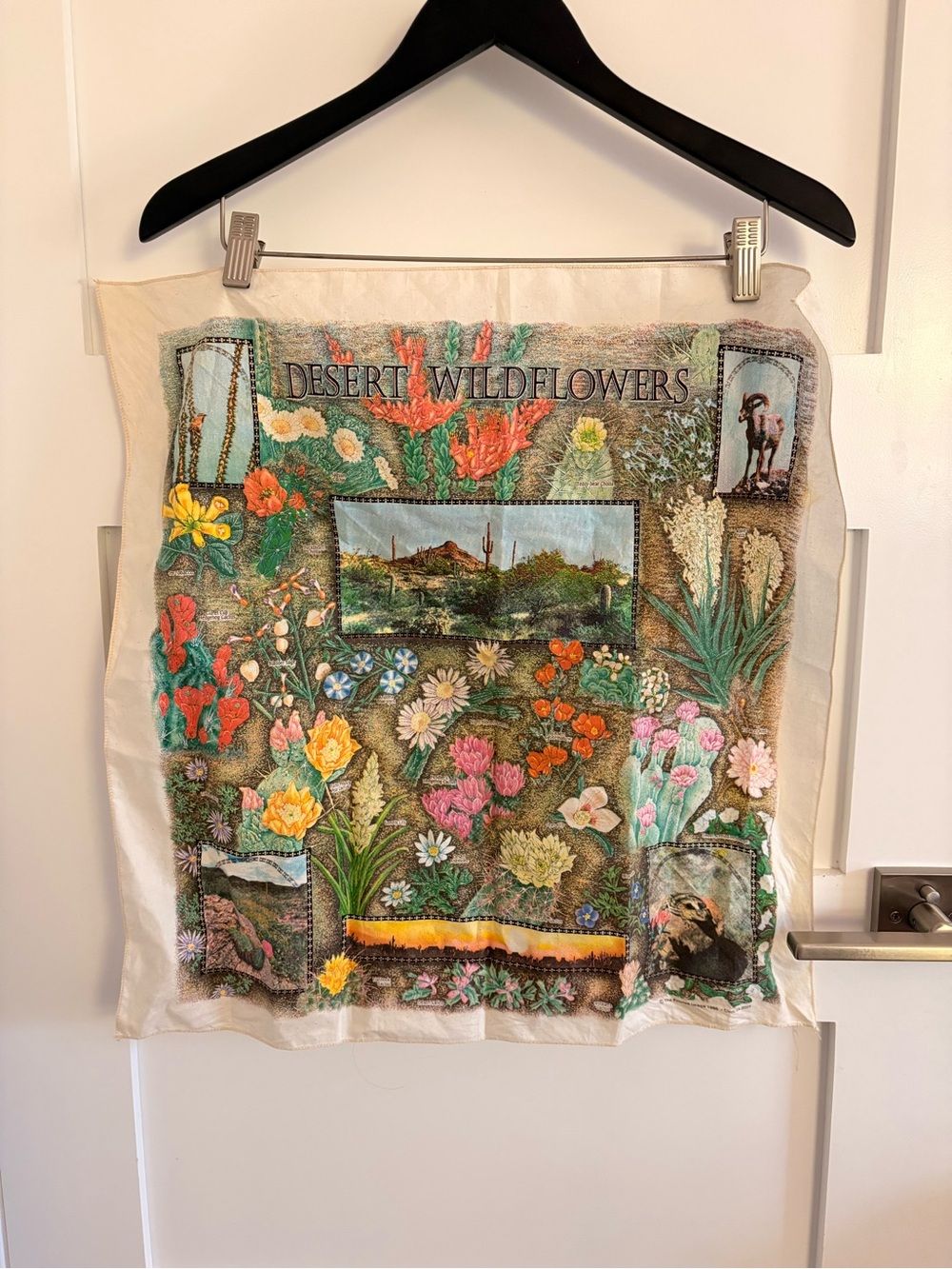 Desert Wildflowers Bandana